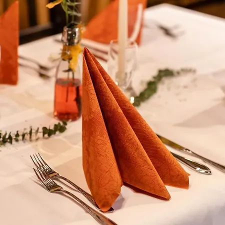 Hotel Roessle Weingarten (Wuerttemberg)